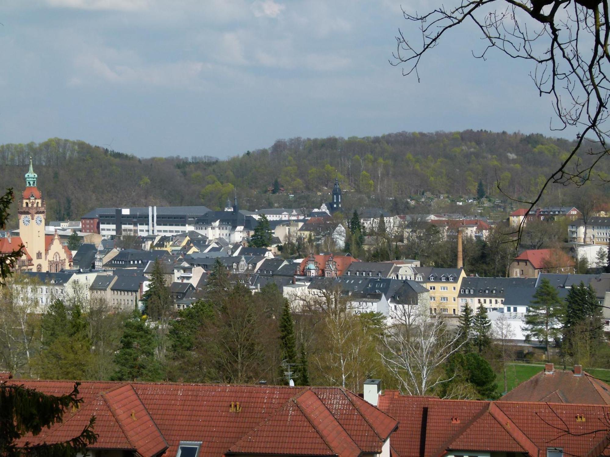 Urlaub Und Arbeit In Waldheim Apartment ภายนอก รูปภาพ